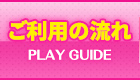 PLAY GUIDE